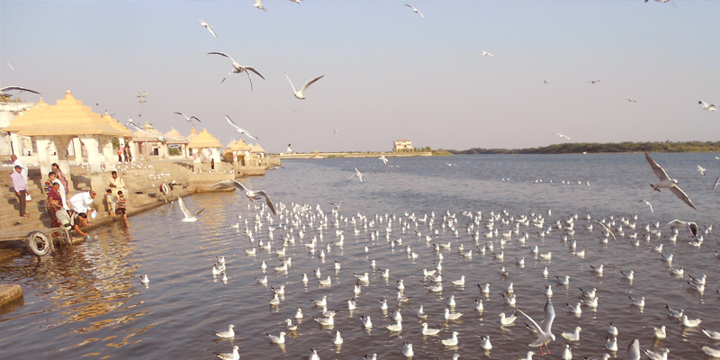 Gujarat Group Tour Package