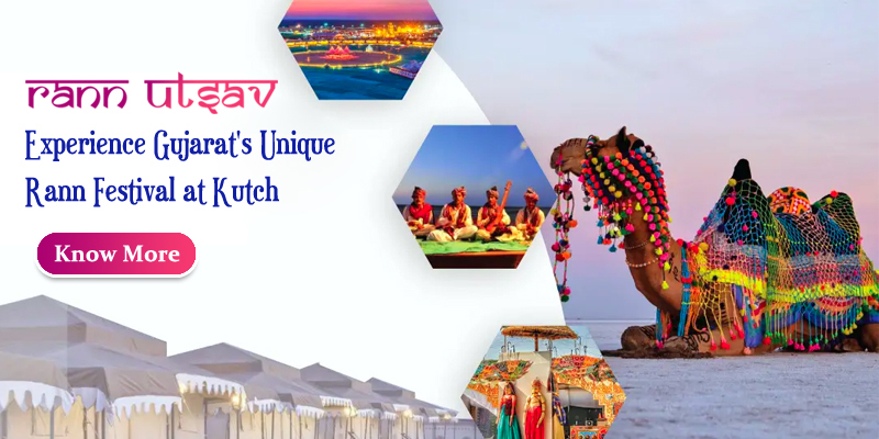Rann of Kutch Full Moon Group Tour
