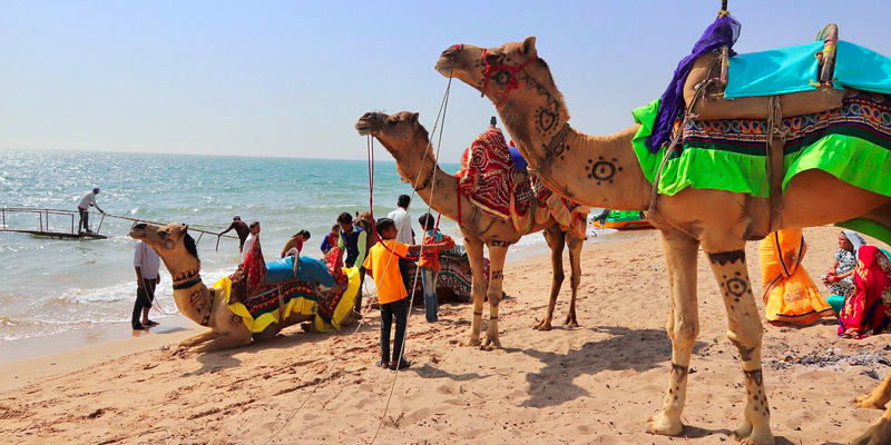 Rann of Kutch Group Tour package
