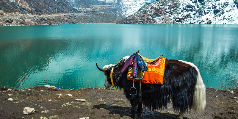 Gangtok