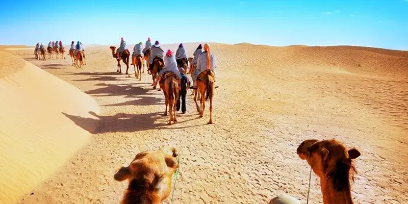 Rajasthan Group Tour Packages 