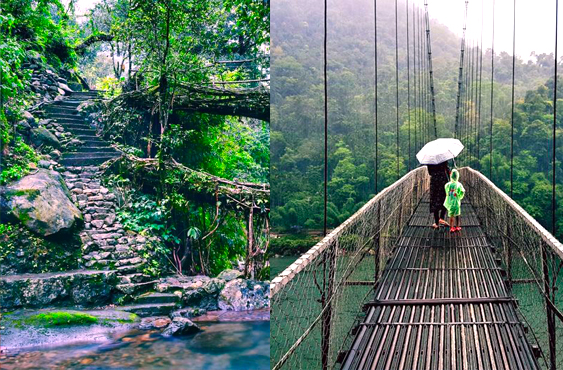 Meghalaya - Shillong - Guwahati Group Tour