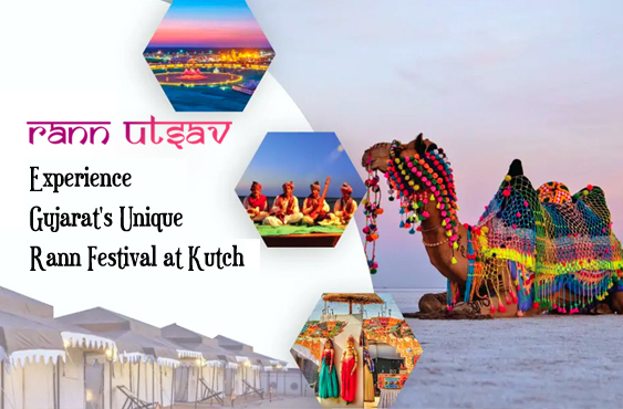 Rann of Kutch Full Moon Group Tour