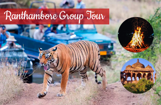 Ranthambore Group Tour Package Group tour