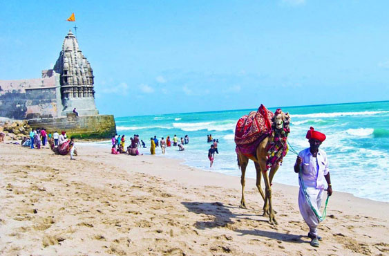 Glorious Gujarat Tour Package