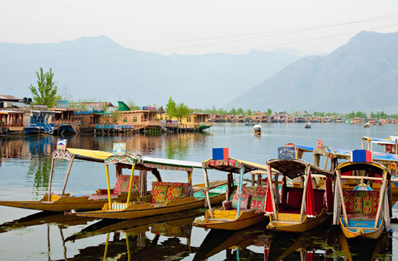 kashmir Group Tour Package